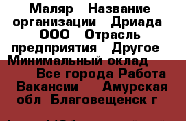 Маляр › Название организации ­ Дриада, ООО › Отрасль предприятия ­ Другое › Минимальный оклад ­ 18 000 - Все города Работа » Вакансии   . Амурская обл.,Благовещенск г.